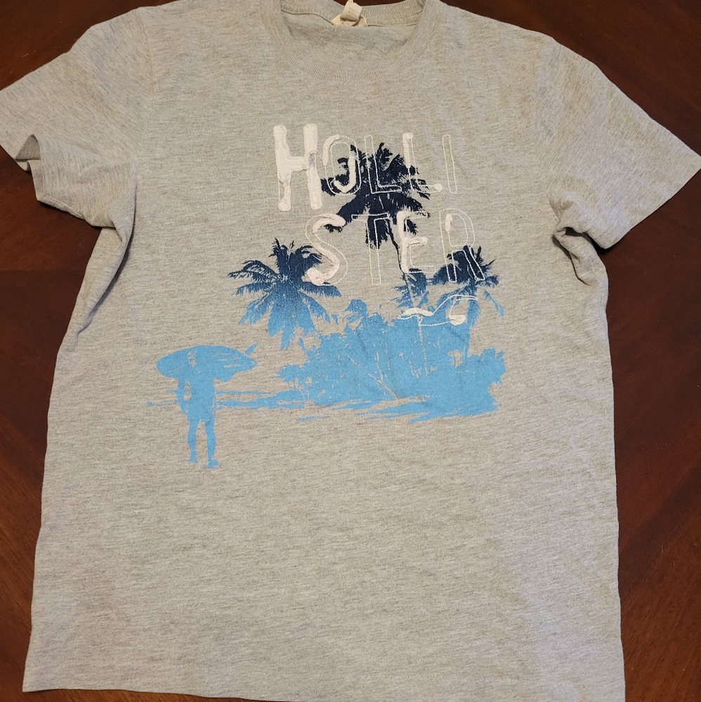 Mens Hollister Tshirt